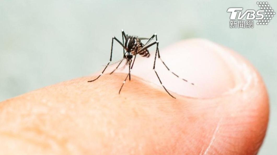 少年遭蚊子叮咬後送醫不治。（示意圖／Shutterstock達志影像）