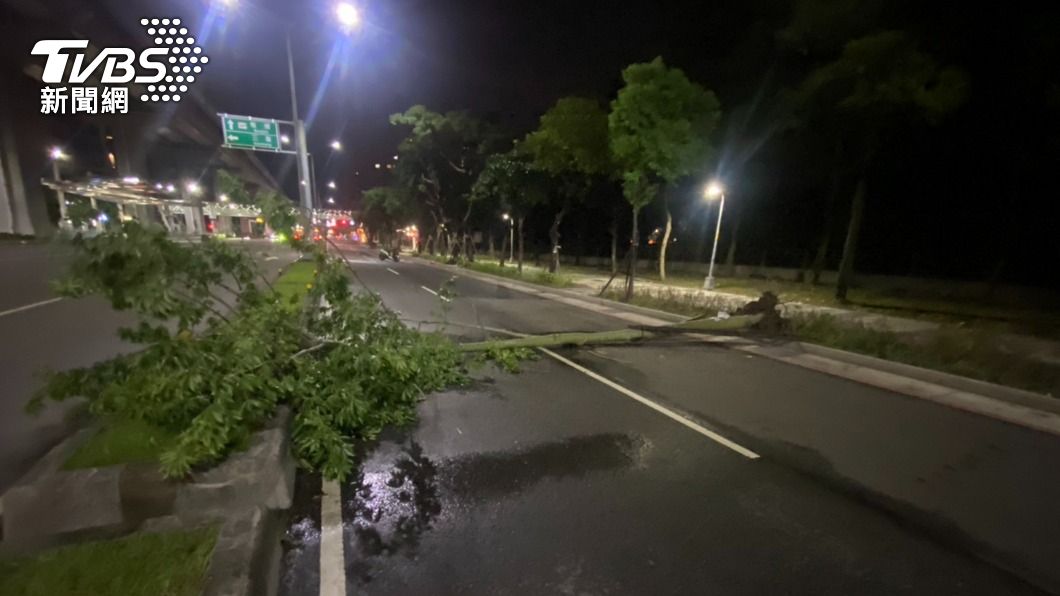 新北市新莊傳出路樹倒塌，造成1名騎士摔車。（圖／TVBS）
