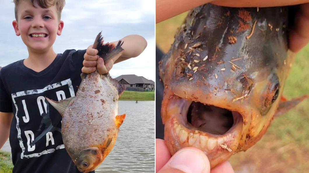 美國一名男孩近日釣到一隻擁有類似人類牙齒的怪魚。（圖／翻攝自Twitter@OKWildlifeDept）