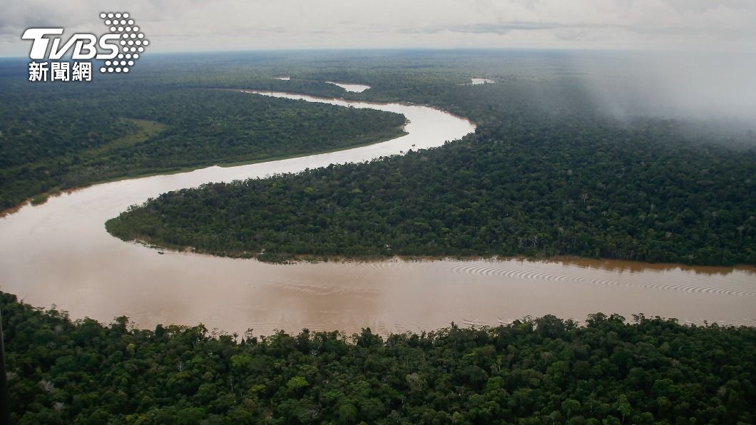 亞馬遜雨林被稱為「地球之肺」。（圖／達志影像美聯社）