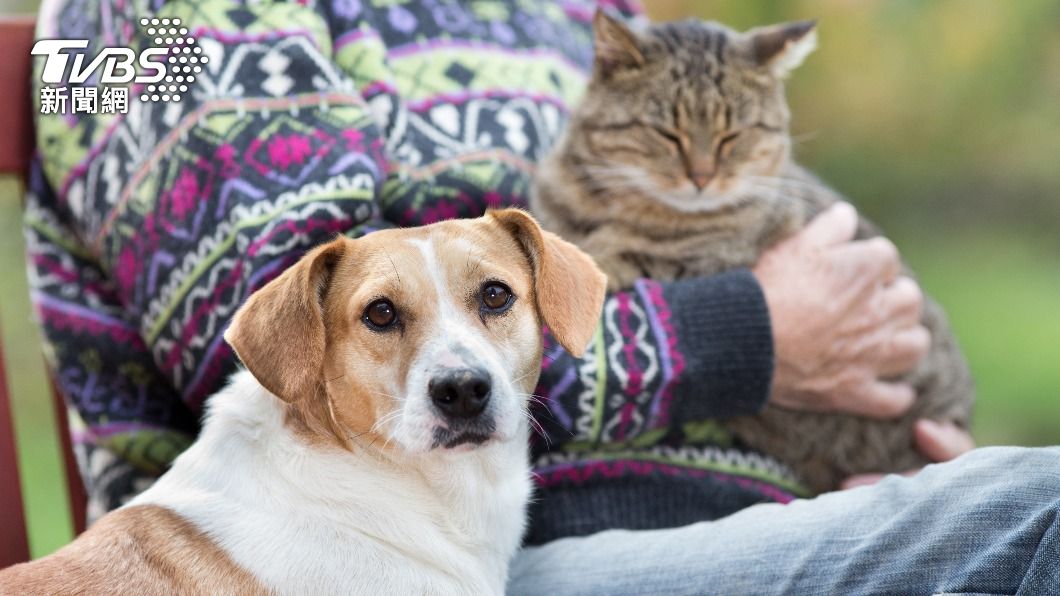 許多人喜歡飼養寵物來陪伴。（示意圖／shutterstock達志影像）