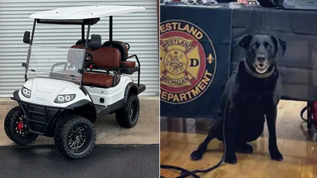 密西根韋斯特蘭的隊狗貝拉意外造成一起高爾夫球車意外。（圖／翻攝自Twitter@thedailybeast、@nbcchicago）