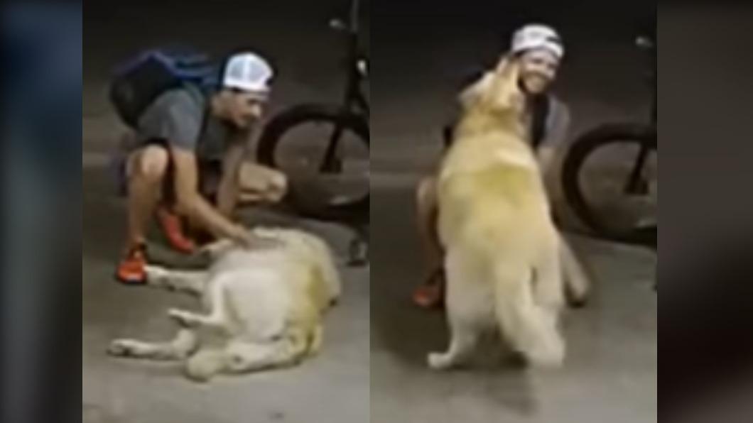 美國竊賊偷自行車意外遇到黃金獵犬撒嬌討摸。（圖／翻攝自 推特@CureBore）
