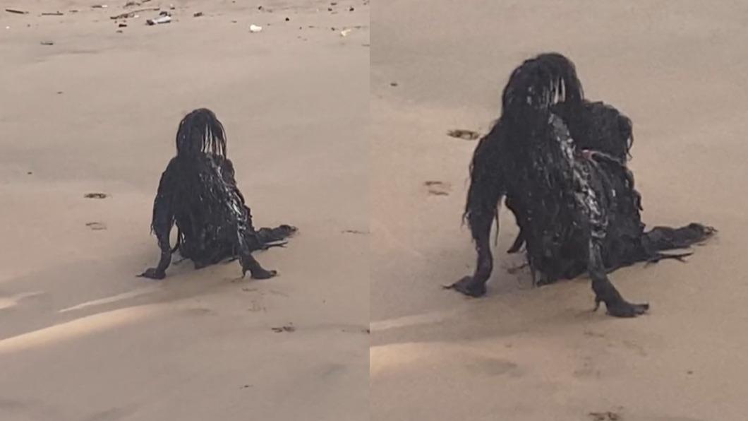海灘拍到「半身黑幽靈」第一眼嚇壞不少人。（圖／翻攝自@lost_ptyer　TikTok）