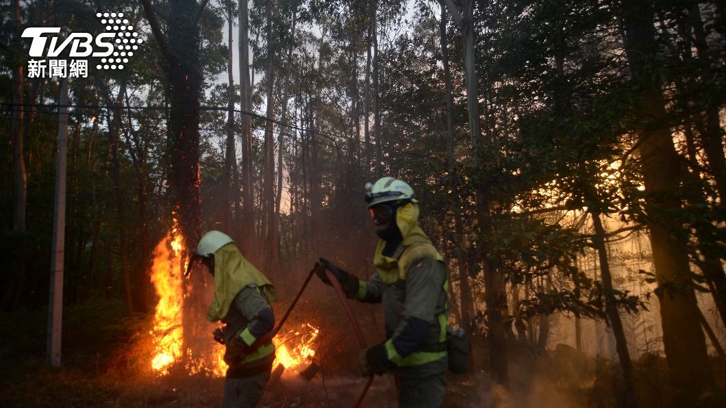 西班牙、葡萄牙森林野火延燒。（圖／達志影像美聯社）