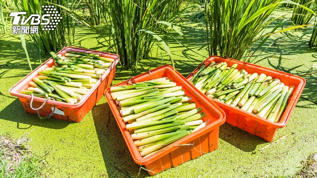 茭白筍不僅適合減脂，對於心血管疾病患者也有助益。（示意圖／shutterstock達志影像）