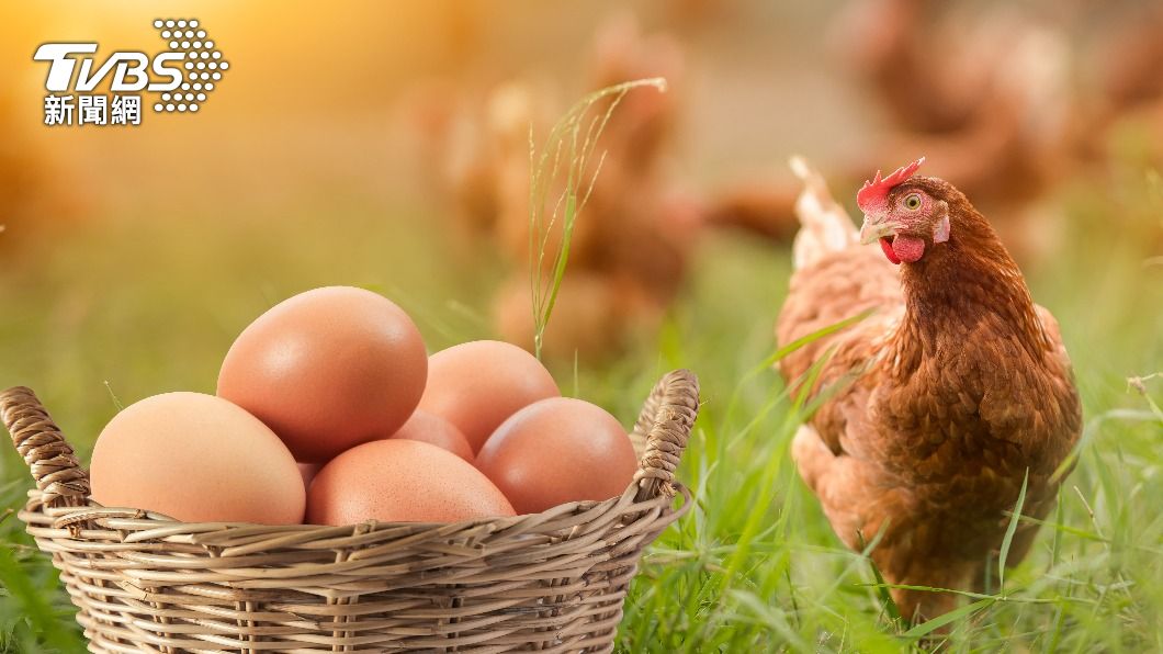 法國麵包食物中毒事件因店家摸了沒洗的雞蛋引發食物中毒。（示意圖／shutterstock達志影像） 