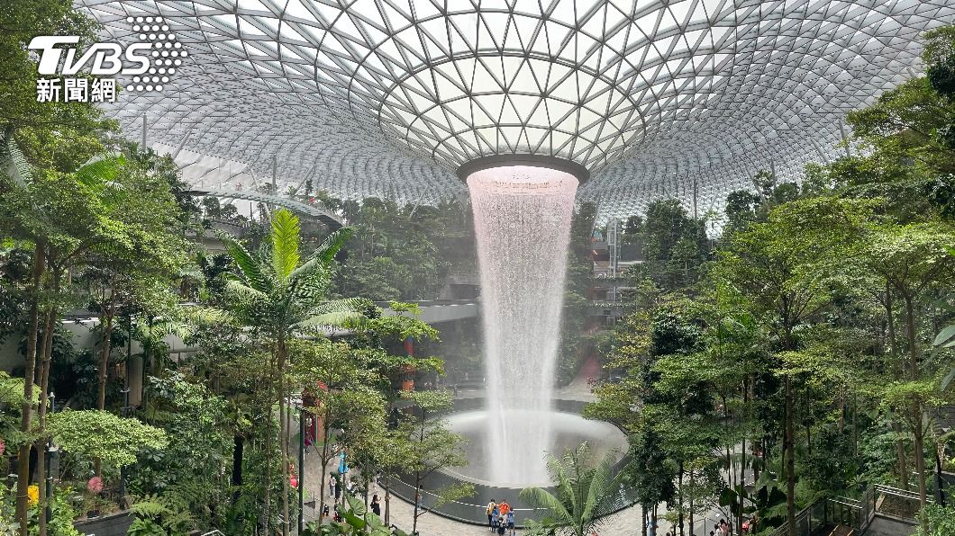 新加坡樟宜機場。（圖／shutterestock達志影像）