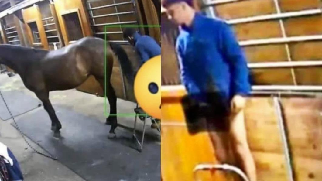 美國19歲少年承認性侵馬匹的指控。（合成圖／翻攝自@DegenWoke、@yinksukblog　Twitter）