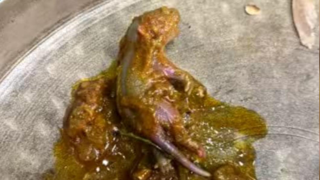 男子在吃咖哩時發現詭異肉塊，竟是完整鼠屍。（圖／翻攝自推特＠Raunaqbhargava1）