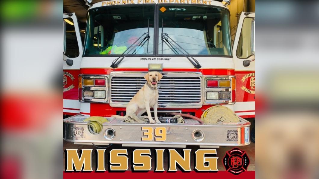 鳳凰城消防局發出尋犬啟事。（圖／翻攝自社群X@PHXFire）