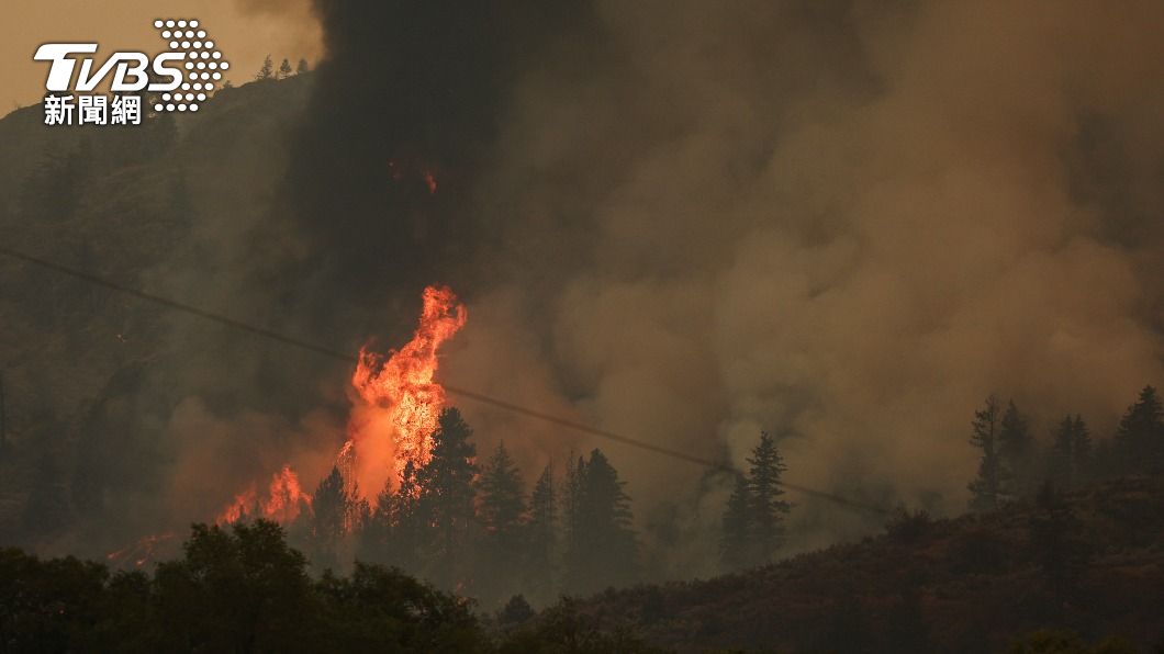 加拿大森林野火延燒多日。（圖／達志影像路透社）