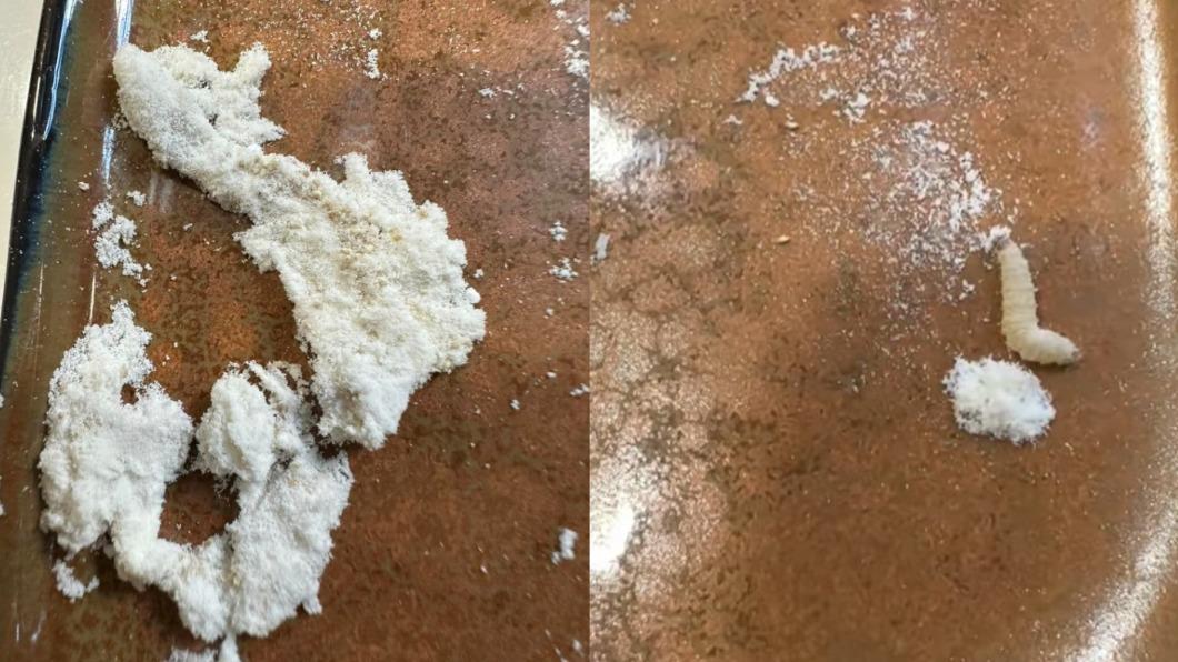 民眾在購買的麵粉袋中發現大量疑似蟲卵的東西。（圖／翻攝自@Costco好市多 商品經驗老實說　臉書）