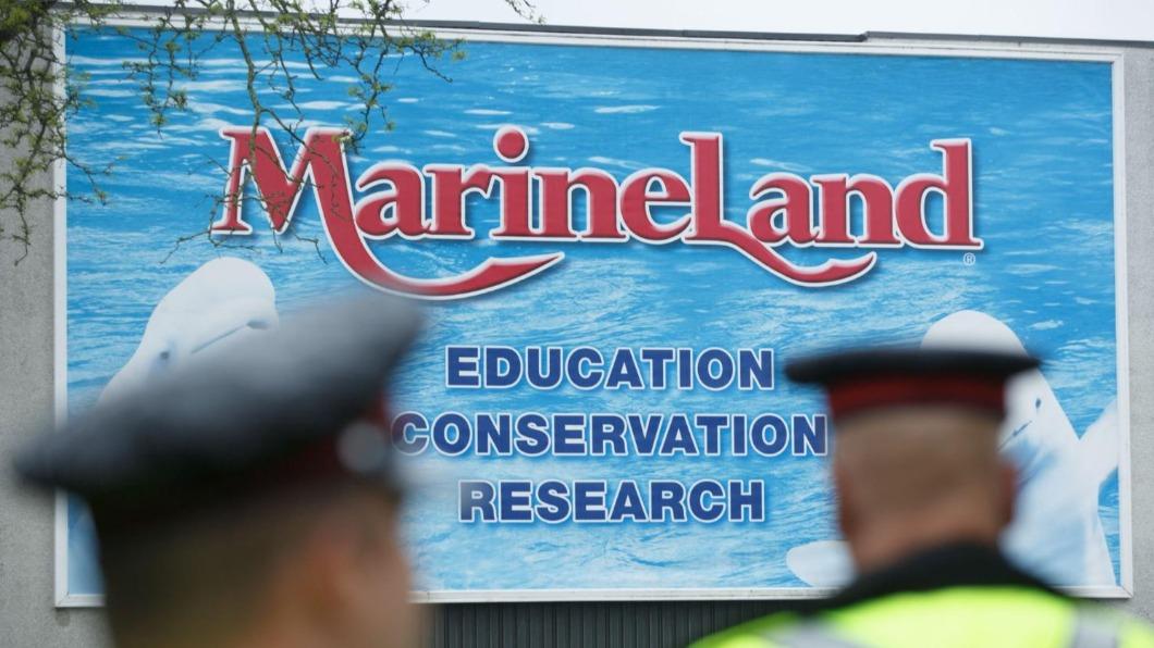 加拿大知名海洋主題樂園「Marineland」。（圖／翻攝自Twitter@TheTorontoSun）