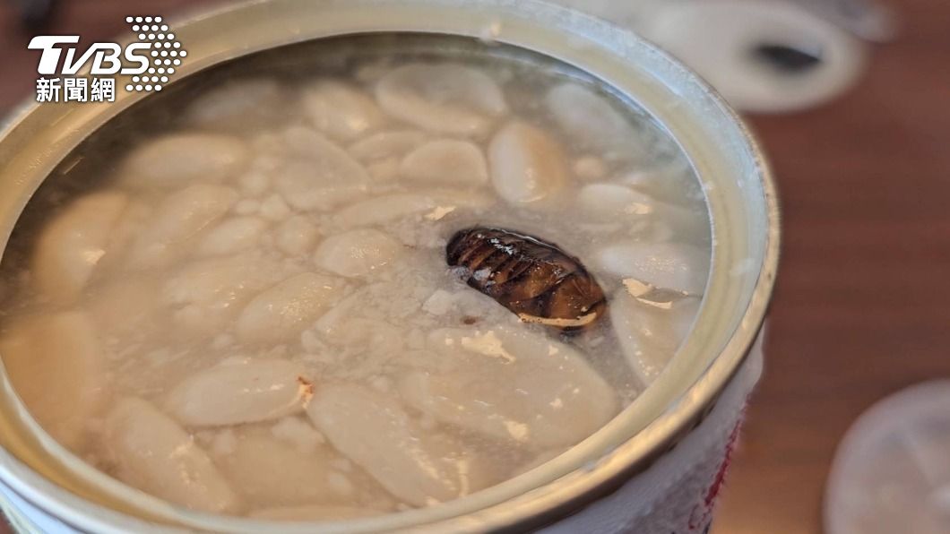 有民眾在牛奶花生湯上發現1隻完整的死蟑螂。（圖／TVBS）