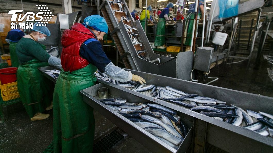 俄羅斯希望能擴大輸出到中國的漁產。（示意圖／達志影像Shutterstock）