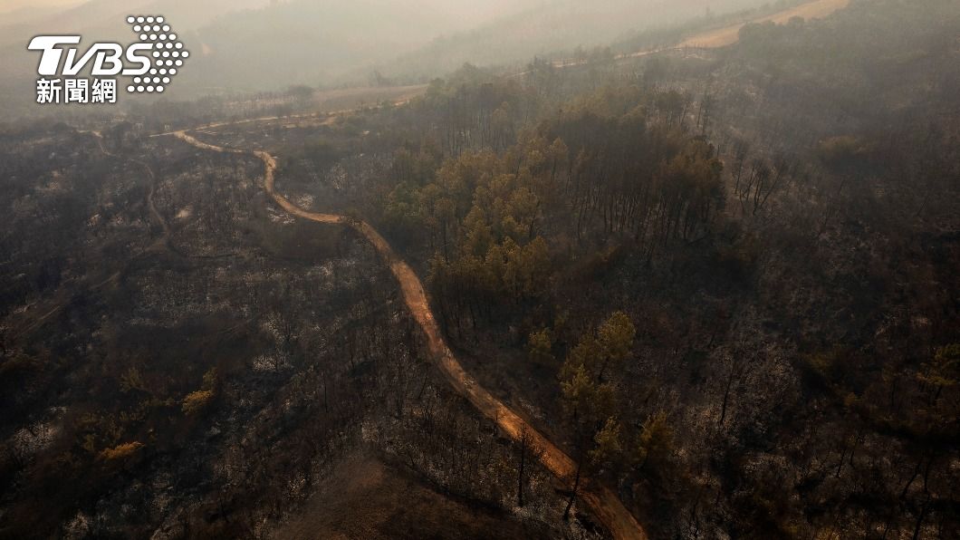 希臘森林大火延燒多日。（圖／達志影像路透社）