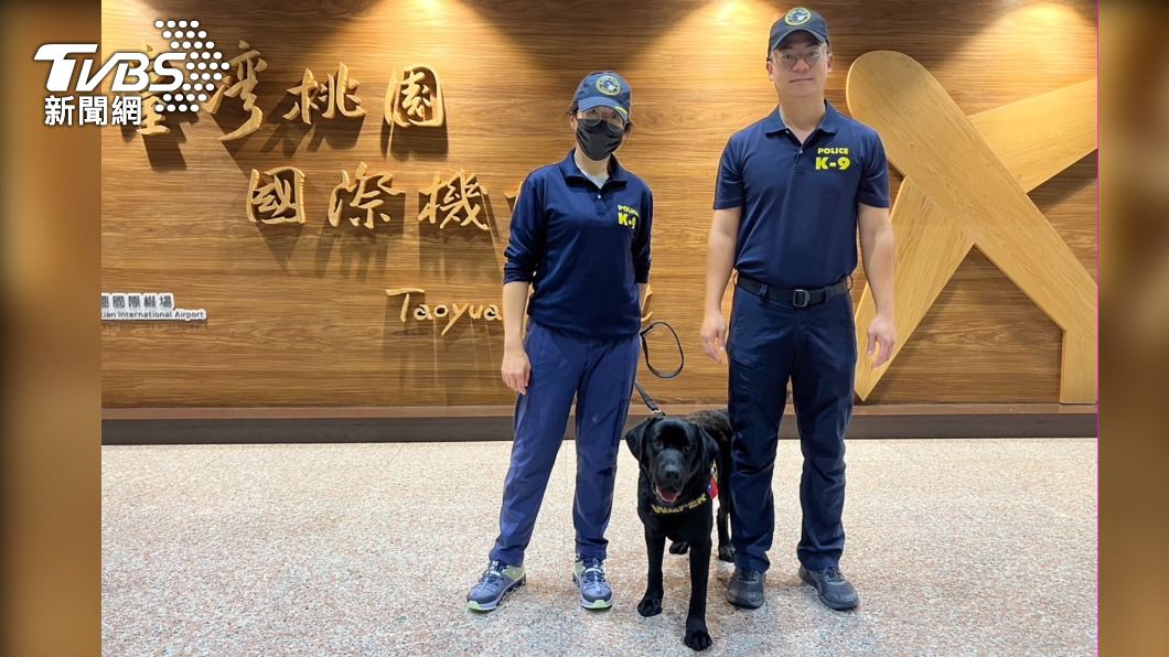 臺灣首隻電子產品偵測犬。（圖/TVBS）