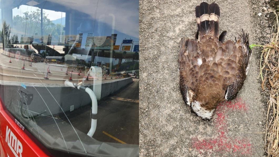 香港大欖隧道發生一起鳥撞巴士的意外。（圖／翻攝自臉書）