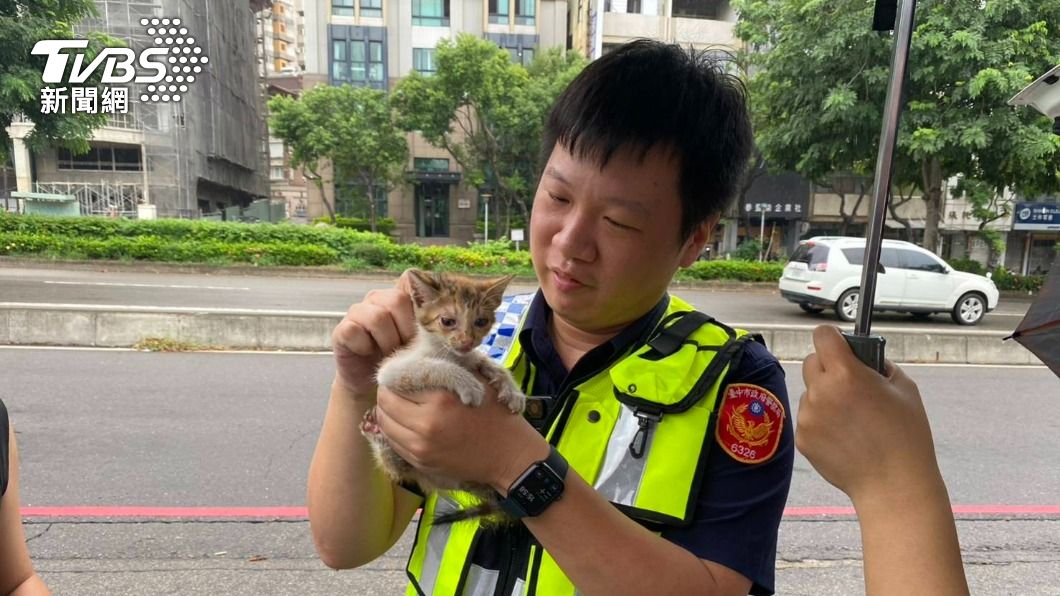 暖警救出小奶貓。（圖／TVBS）