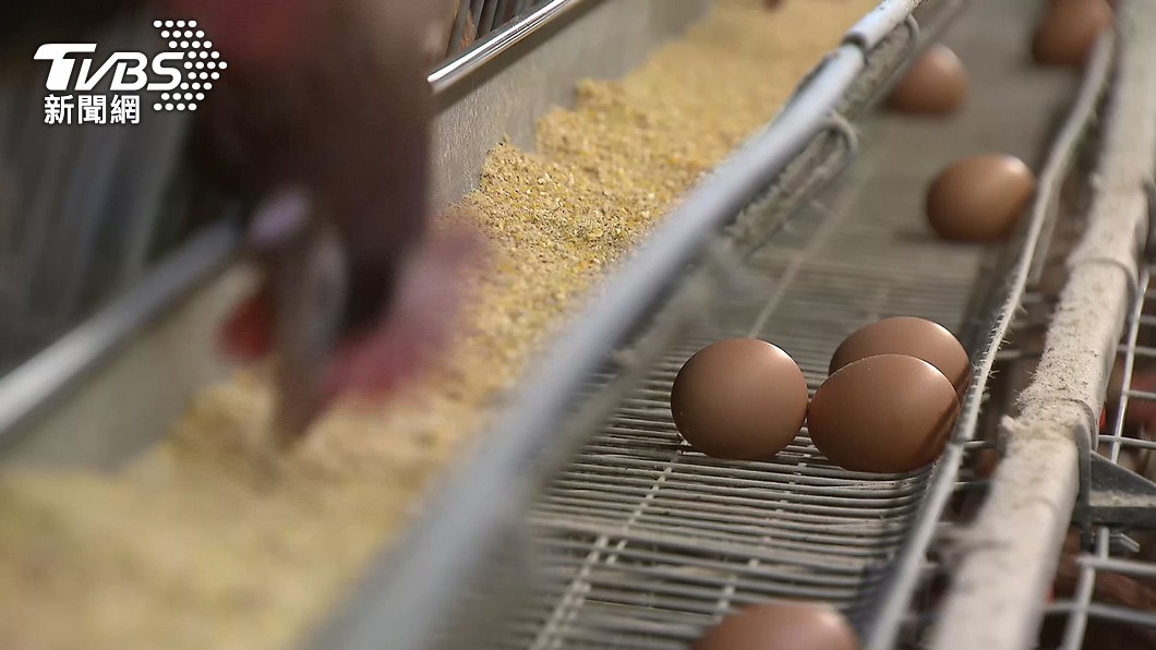 受到禽流感再次肆虐影響，美、日等多國的蛋價也悄悄開始飆漲。（圖／TVBS）