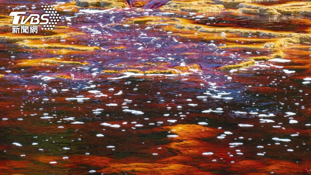 德克相信火星曾有微生物存在。（示意圖／Shutterstock達志影像）