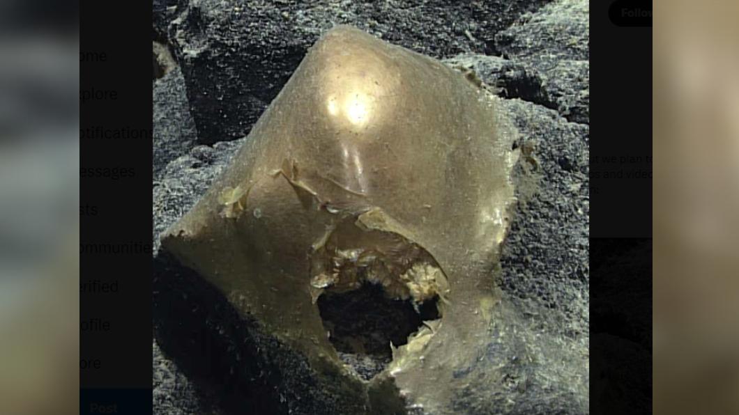 科學家在海底發現神秘金蛋。（圖／翻攝自NOAA推特）