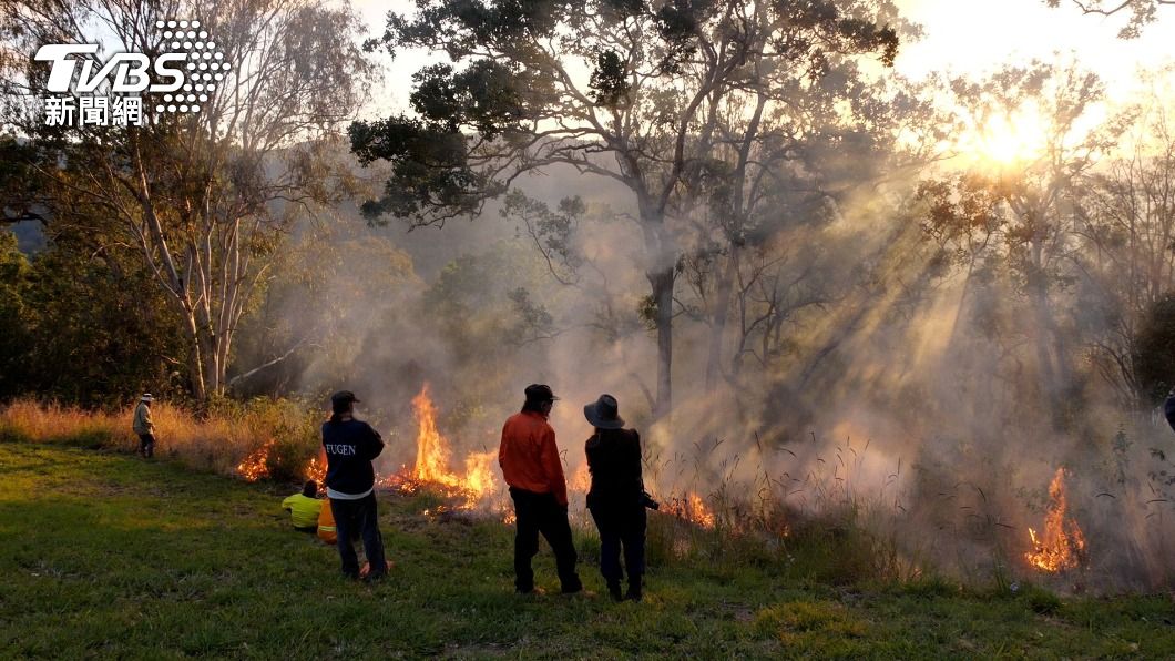 澳洲發生多起森林大火。（圖／達志影像路透社）