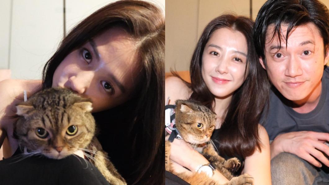 愛貓「哥哥」出院,邵雨薇喜喊:「最大的生日禮物。」(圖/翻攝自邵雨薇IG)