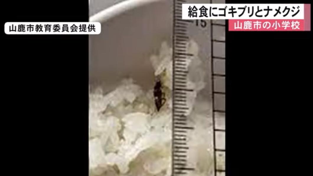 日本熊本縣的一所市立小學接連在營養午餐裡發現蟑螂、蛞蝓屍體。（圖／翻攝自TKUofficial YT頻道）