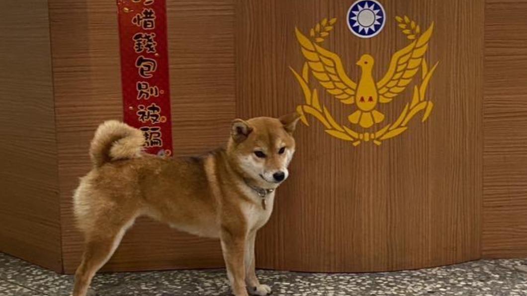 基隆派出所飼養柴犬。（圖／翻攝自基隆警馨雲臉書）