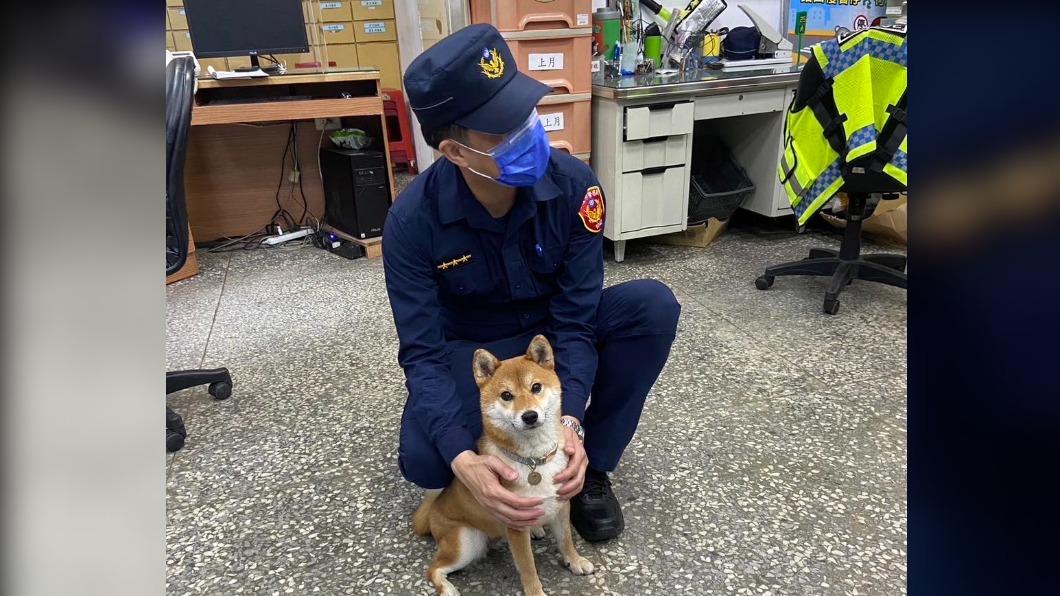 Q寶個性溫馴又愛撒嬌。（圖／翻攝自基隆警馨雲臉書）