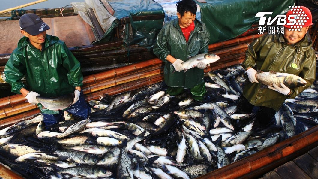 中國漁船與日本漁船在同一海域捕魚，但中國漁船的漁獲仍能合法在中國境內販售。圖非當事人。（示意圖／shutterstock達志影像）
