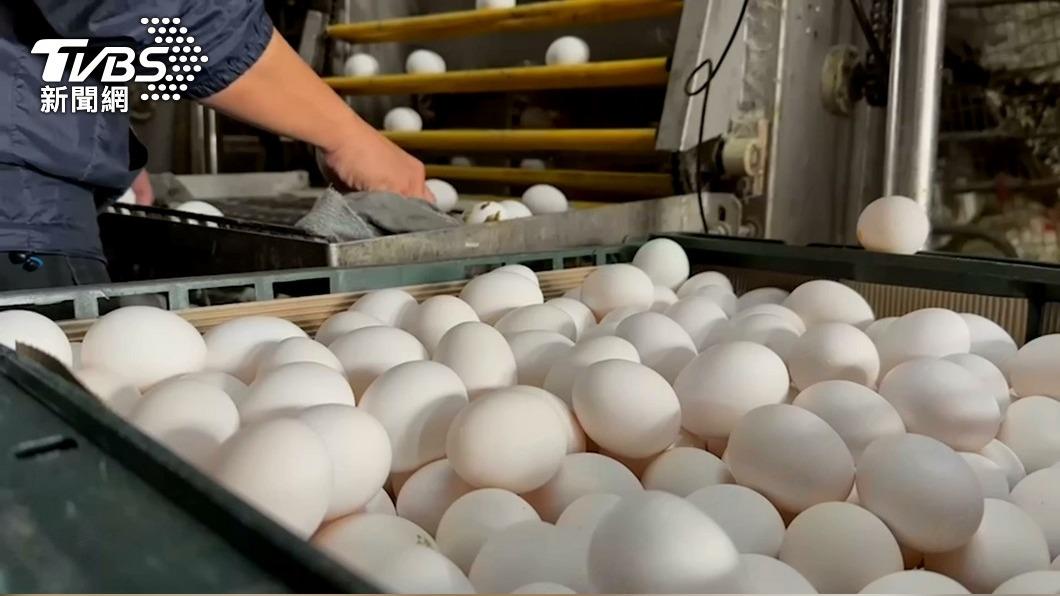 國產蛋價連續兩週調降。（圖／TVBS）