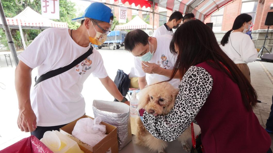 新竹動保所10/10舉辦狂犬病疫苗注射活動。（圖／新竹縣動物保護防疫所提供）