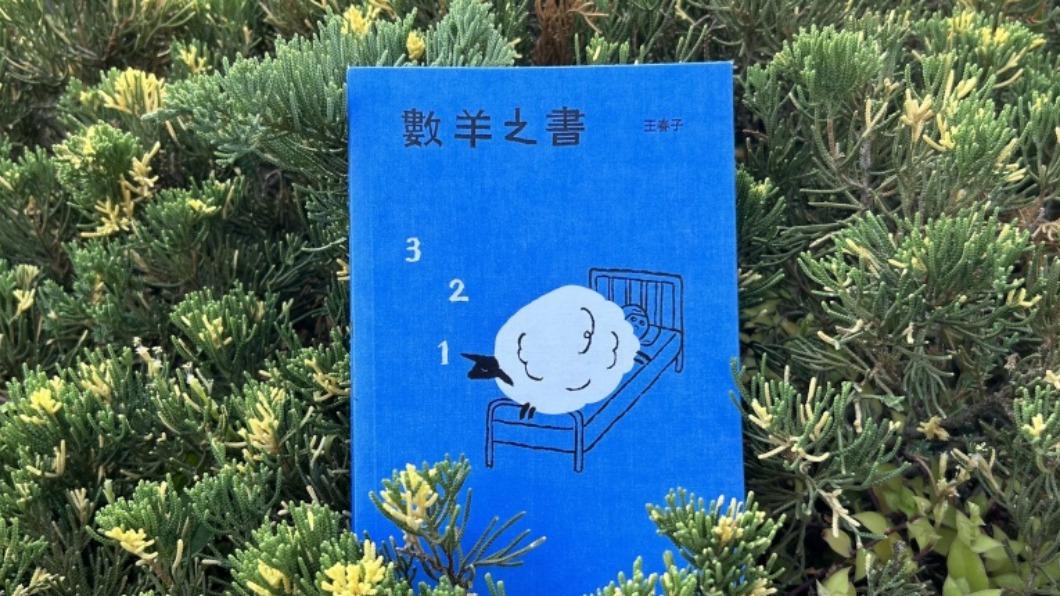 繪本作家王春子新作「數羊之書」，以童趣的畫面展開想像力大冒險，近期出版。（圖／遠流出版提供）
