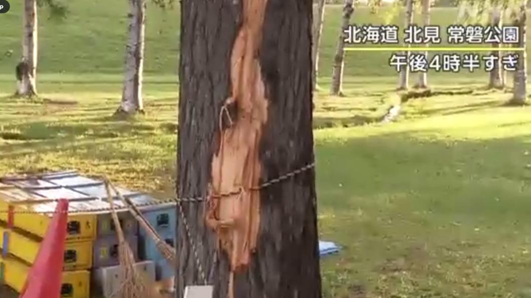 日本北海道北見是一座公園遭雷擊，導致至少7人受傷。（圖／翻攝自@nhk_news推特）