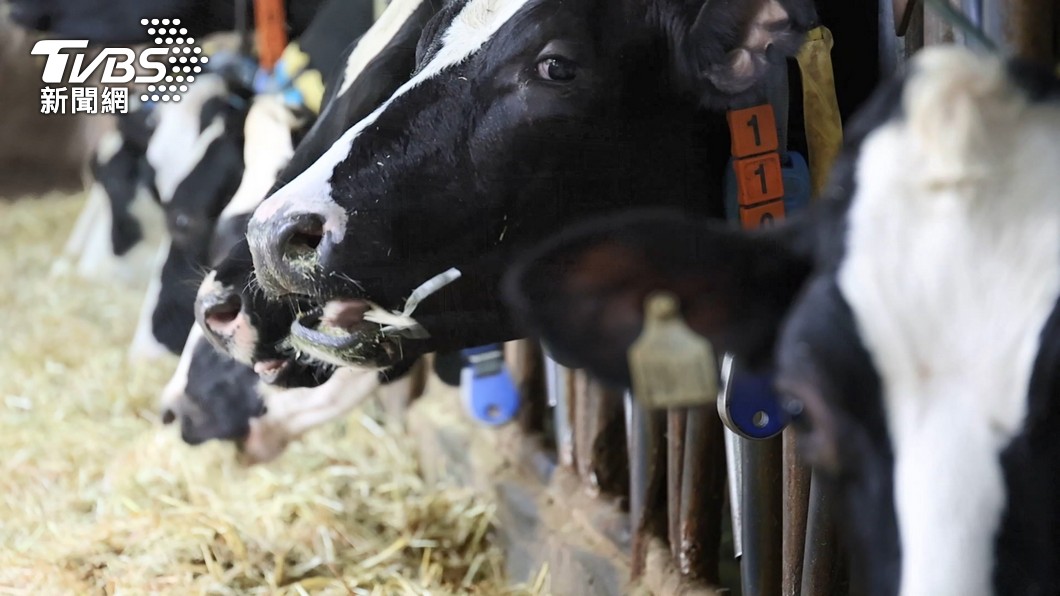  Taiwan legislators urge clear labeling for ’fresh milk’