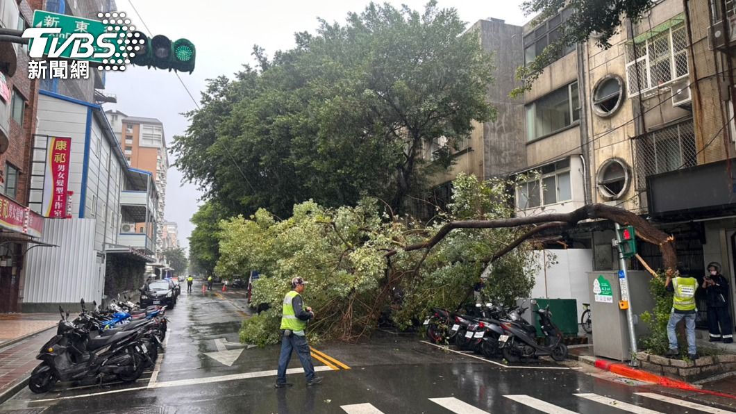 松山區新東、延壽街口發生「路樹倒塌」的意外。（圖／TVBS）