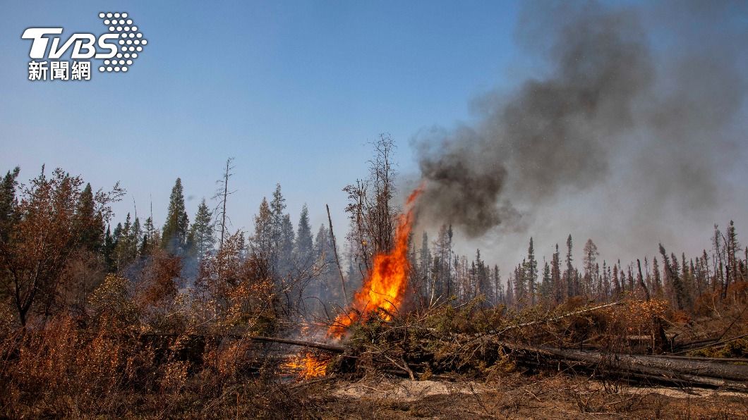 加拿大北部林地遭野火重創，野生動物的蹤跡都已不復見。（圖／達志影像美聯社）