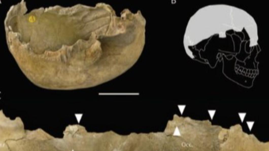 萬年前的歐洲有吞食遺體的喪葬文化。(圖/翻攝自@Cesc_Marginedas Twitter)