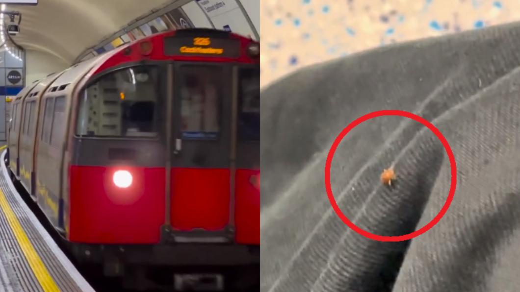一名TikTok用戶聲稱自己在搭乘倫敦地鐵時看到臭蟲，引發居民恐慌。圖非當事列車。（圖／翻攝自倫敦交通局、@lassogold TikTok）