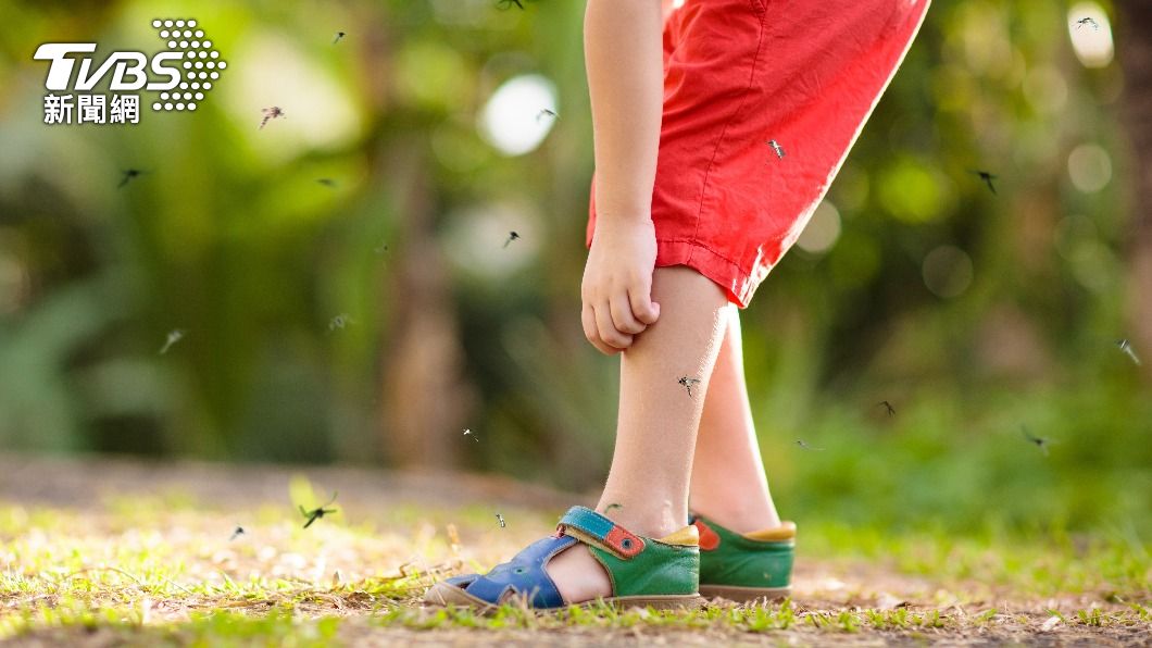 將維生素B1溶於水中、塗抹於皮膚上，能有效防蚊。（示意圖／shutterestock達志影像）