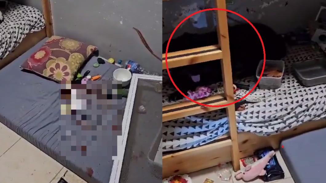 以色列南部某家庭全員遭到哈瑪斯殺害，小黑狗留在孩子的床鋪上，不肯離開。（圖／翻攝自@israel推特）