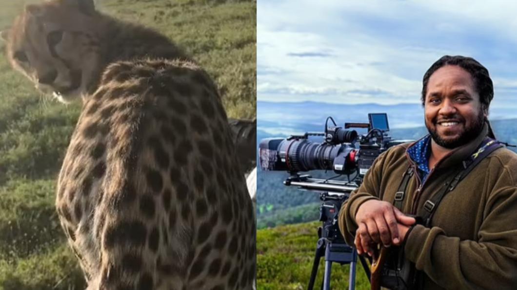 《BBC》攝影師自曝為搏觀眾同情偽造野生動物場景。（圖／翻攝自《每日郵報》）