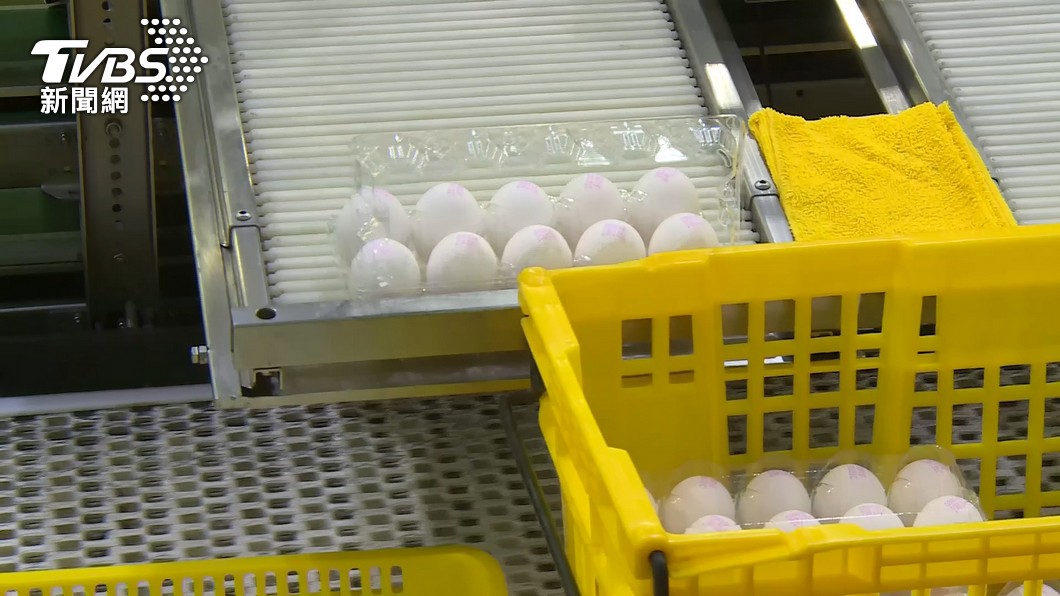 雞蛋降價。（圖／TVBS） 雞蛋變便宜了！　超市、大賣場通路「盒裝蛋降價」一次看