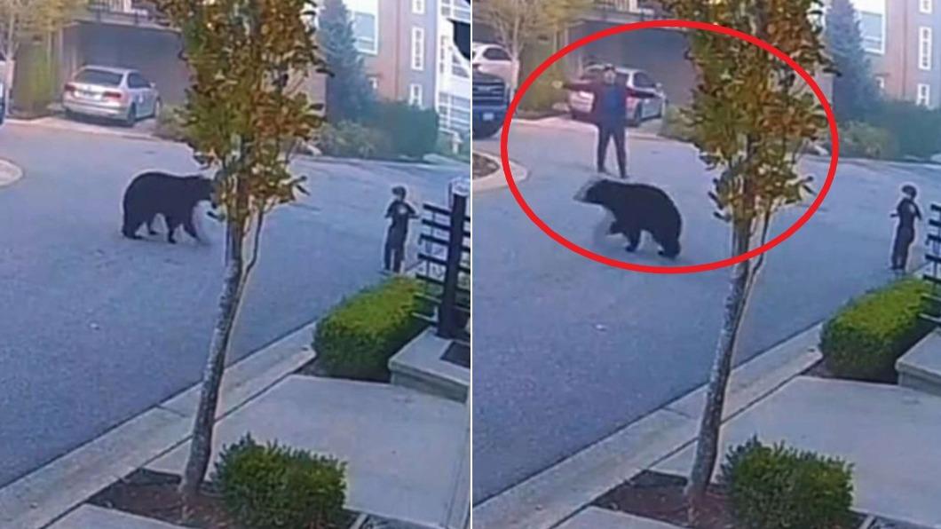 國外有1名男童在街上玩耍時險遭野熊攻擊，所幸鄰居出手相救。（圖／翻攝自TikTok@ruderocaloha）