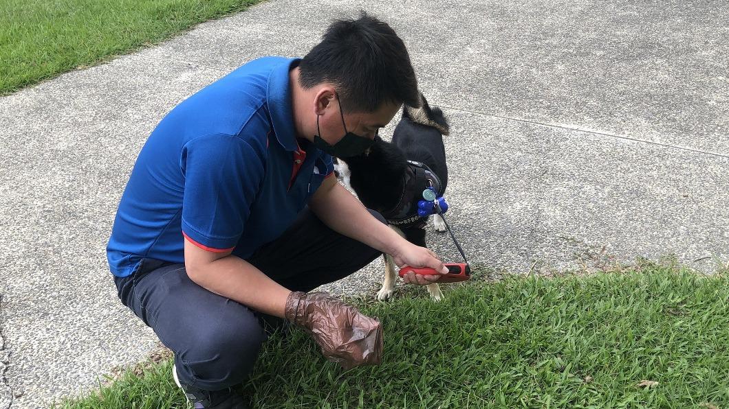 Dog fouling stirs local concerns (Courtesy of Taitung County Gov’t) Taitung imposes fines to tackle alarming dog fouling