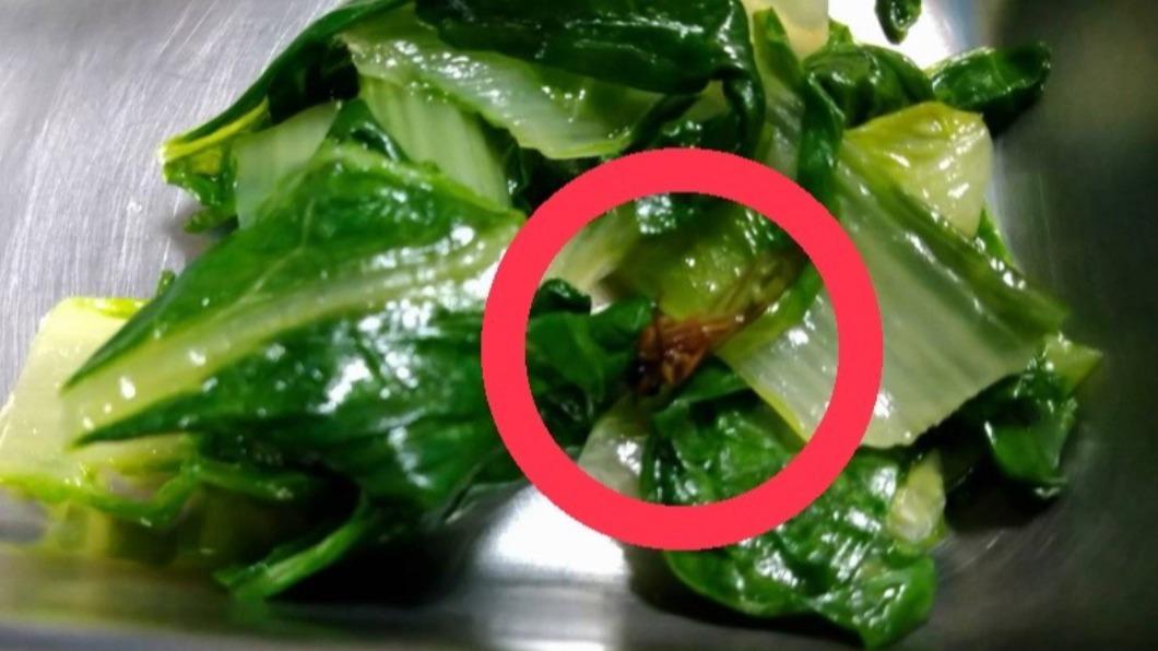 基隆市銘傳國中的營養午餐，昨天２６號出現一隻「菜蟲」。（圖／基隆市政府提供）
