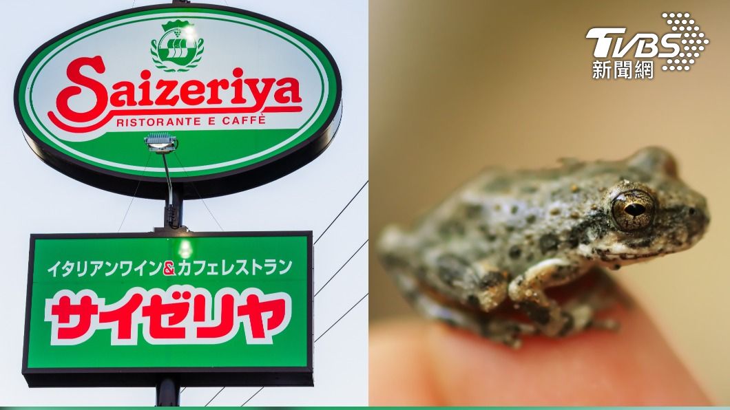 日本薩莉亞沙拉混入青蛙。（示意圖／shutterstock 達志影像）